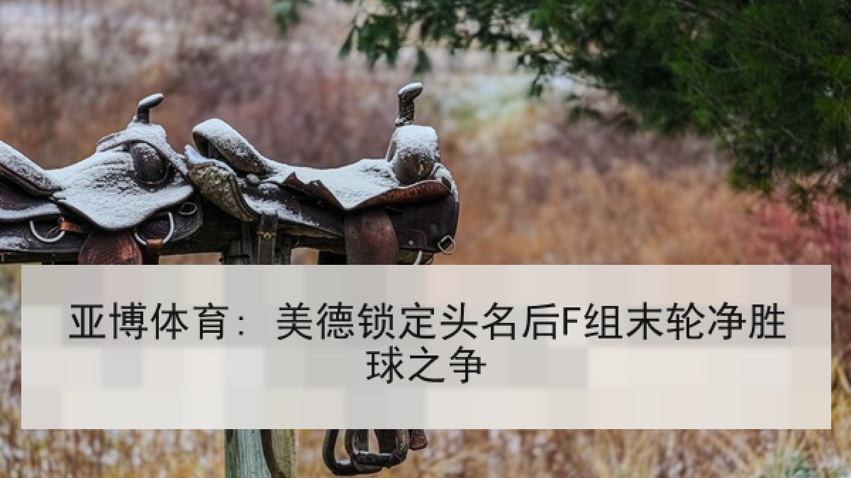亚博体育: 美德锁定头名后F组末轮净胜球之争